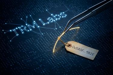 TRM Labs: Jak inteligencja blockchain walczy z przestępczością ...