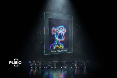 Qu`est-ce qu`un NFT ? Le guide du débutant qui ne prétend pas q...