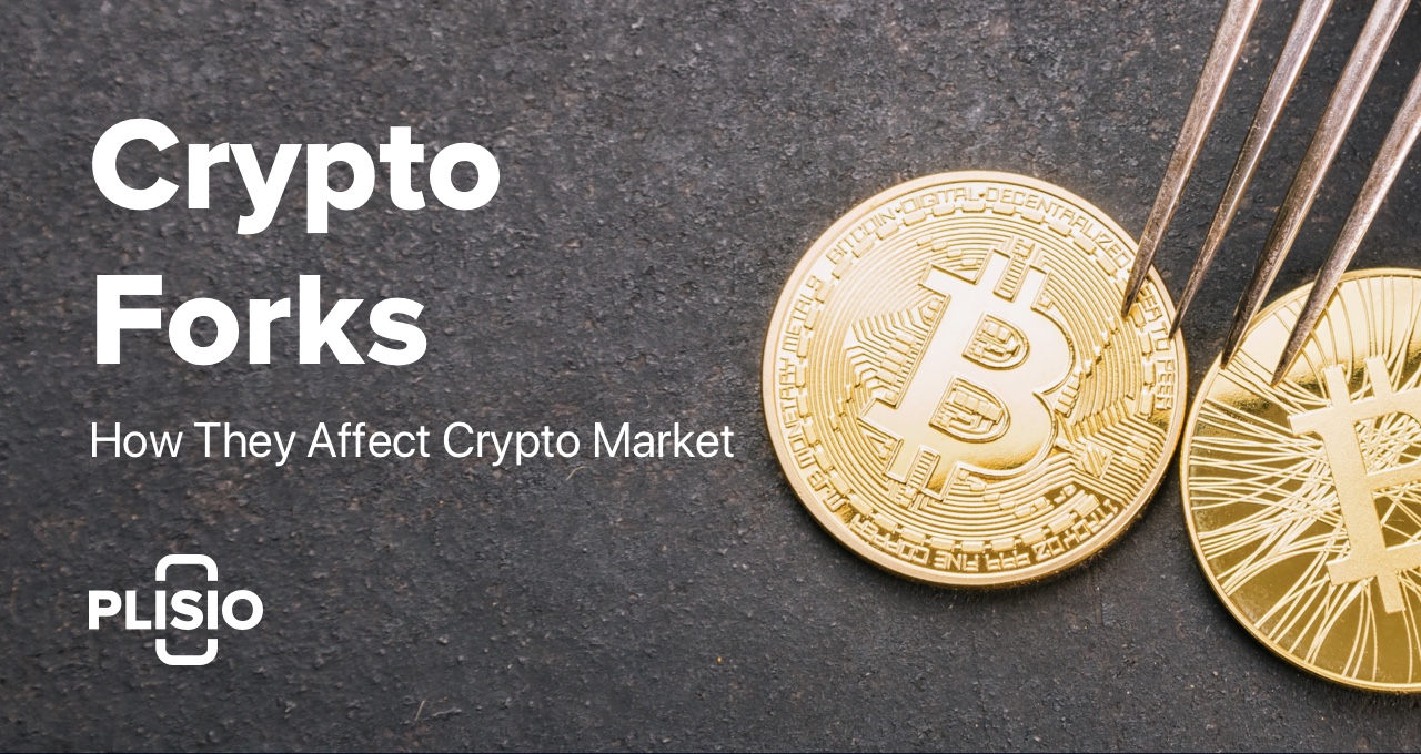 Crypto Forks คืออะไรและส่งผลต่อตลาด Crypto อย่างไร