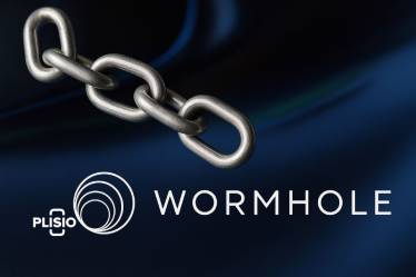 Wormhole Crypto Review & Airdrop : un guide complet d`interop...
