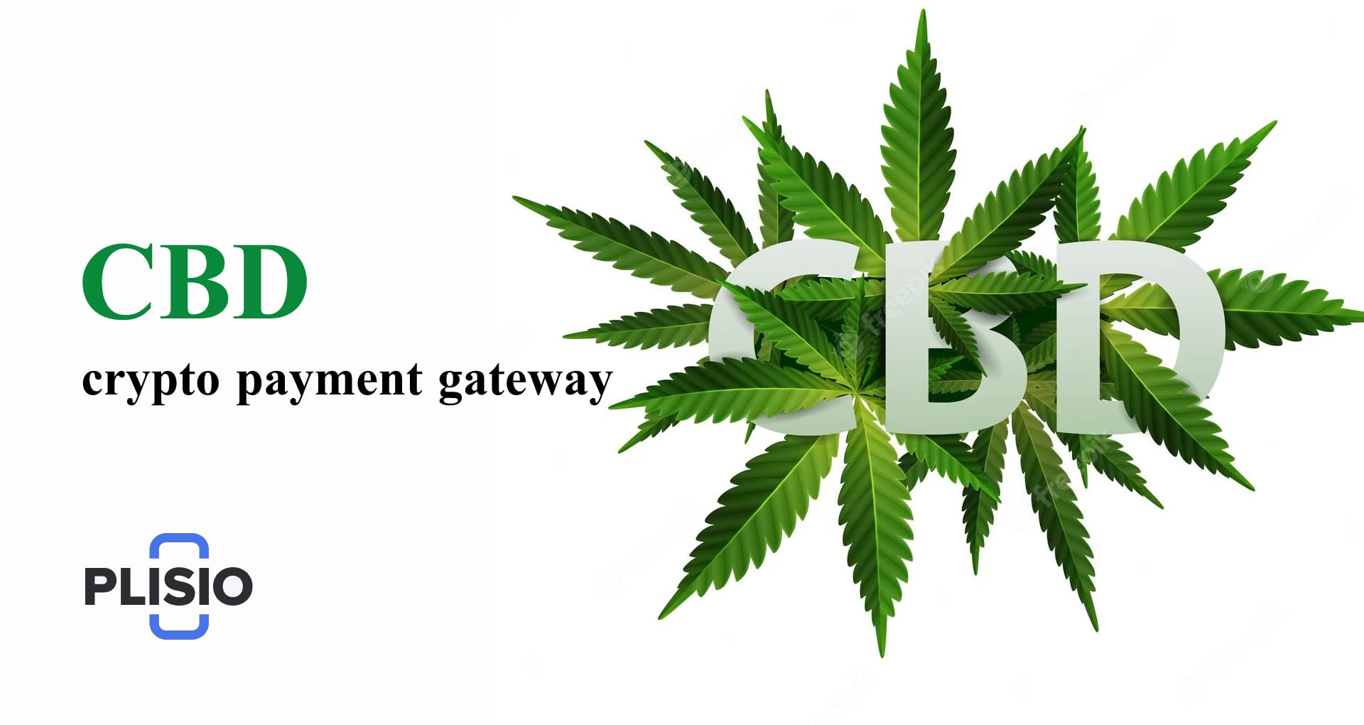 CBD-Kryptowährungs-Zahlungsgateway