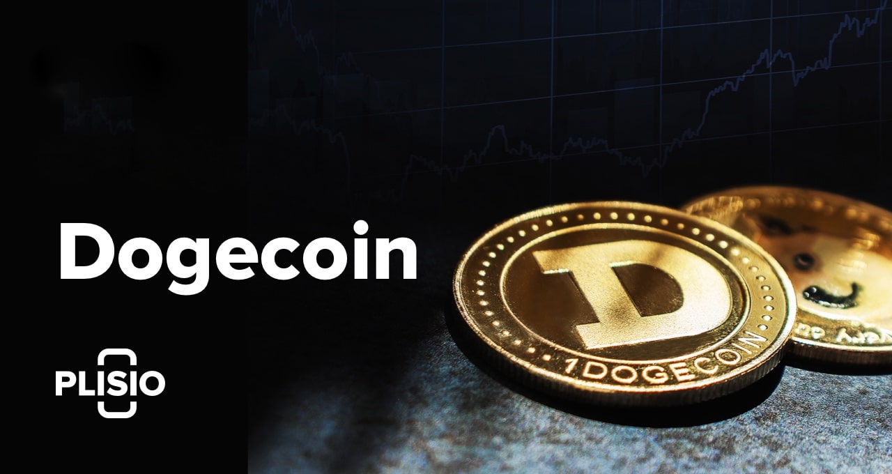 ¿Qué es Dogecoin?