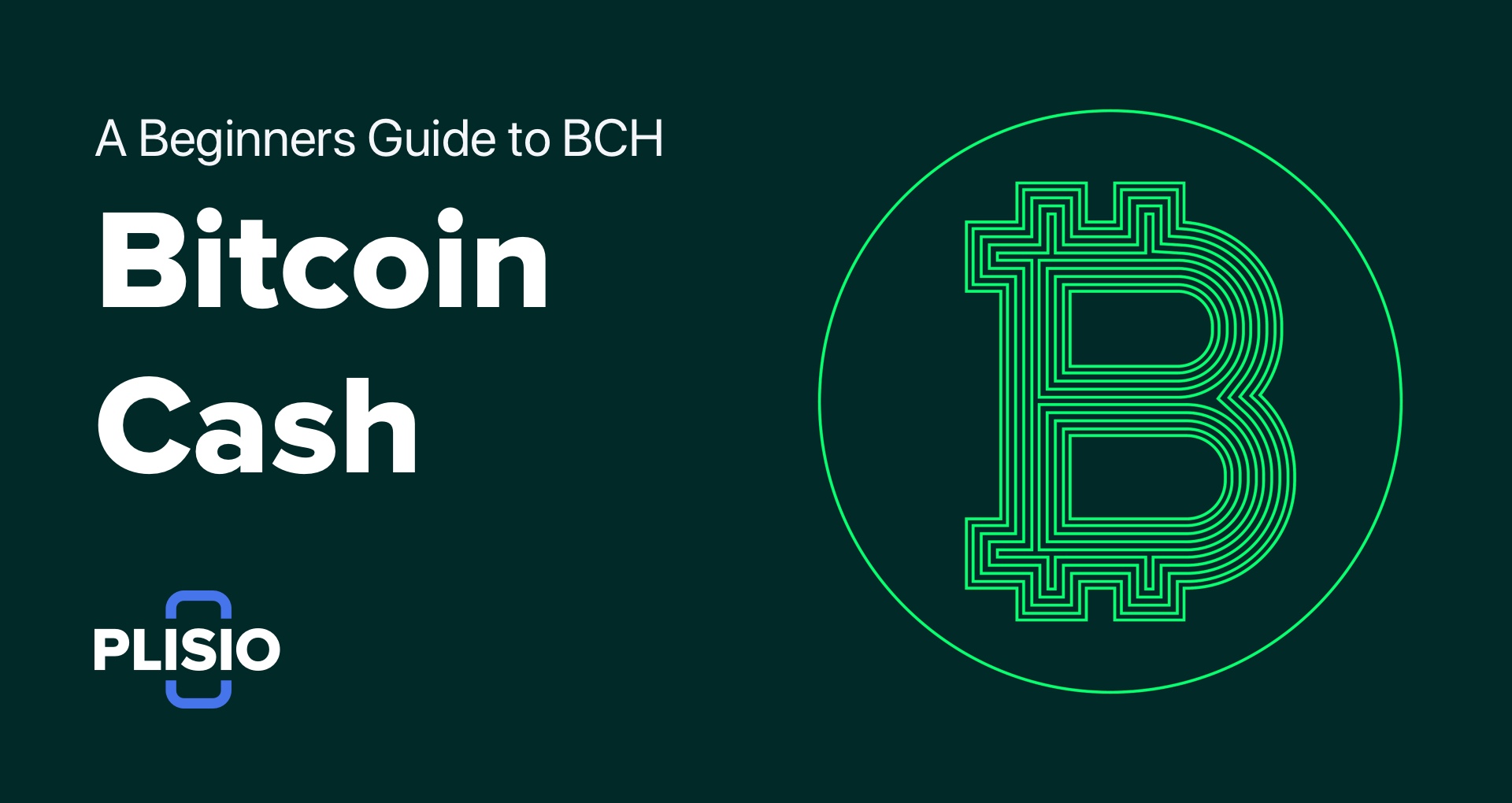 A Beginner’s Guide to Bitcoin Cash (BCH)