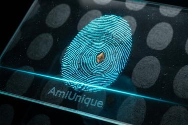 AmIUnique: Насколько легко идентифициро�...