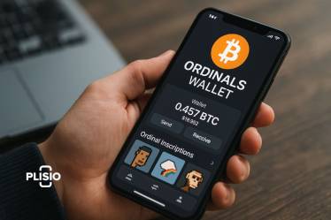 Carteiras Bitcoin Ordinals: Um guia completo para armazenar e prot...