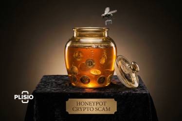 蜜罐加密骗局。如何避免？