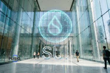 Sui ha spiegato: cos`è la blockchain di Sui e perché è importan...