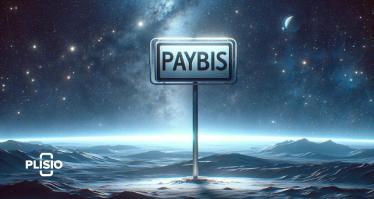 Paybis в 2024 году: удобное руководство п...