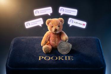 Pookie Significato, Usi ed Esempi