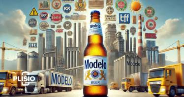 Modelo: Who Owns It?