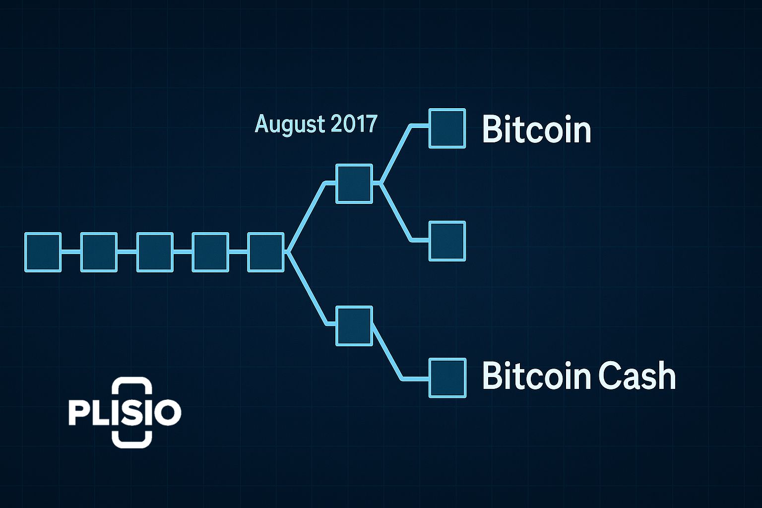 Bitcoin Cash Vs Bitcoin BTC Vs BCH Cu l Es La Diferencia Bitcoin Cash Vs Bitcoin BTC Vs BCH Cu l Es La Diferencia