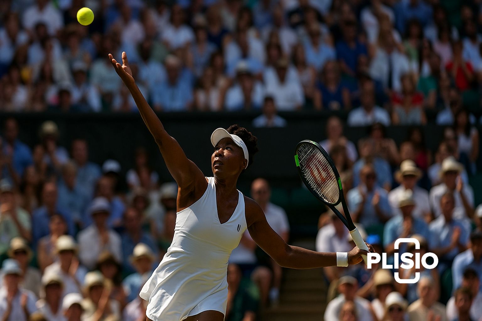 Patrimônio líquido de Venus Williams