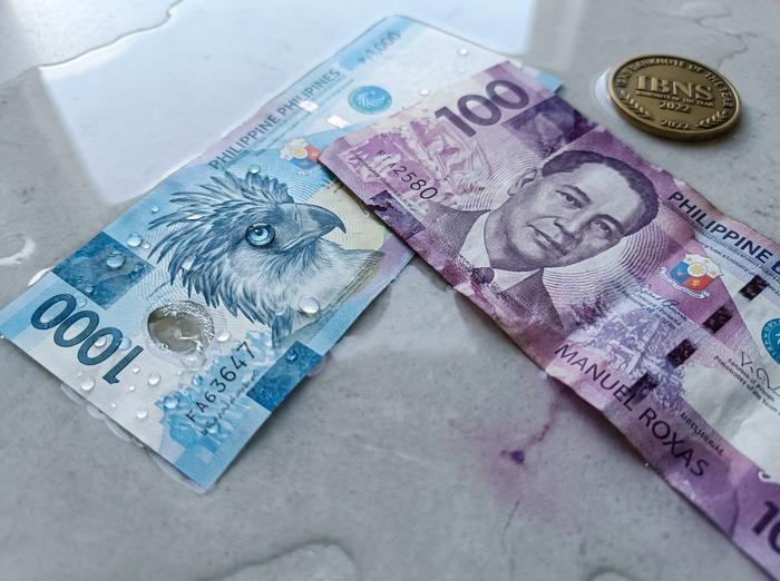 Φιλιππινέζικο νόμισμα